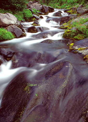 truchas en asturias,pesca truchas,asturias mosca,pesca a mosca pesca mosca